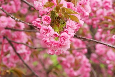 南通通州区线下个人借款平台一站式服务，轻松解决资金难题