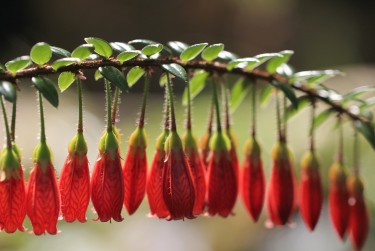 南通通州区零用贷短借：轻松解决临时资金需求